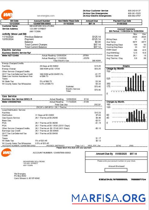 Printable USA We business utility bill template in Word and PDF formats